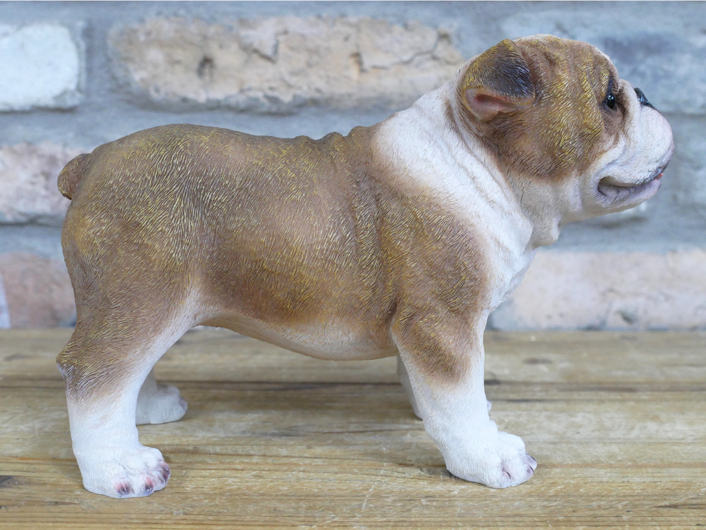 Bulldog