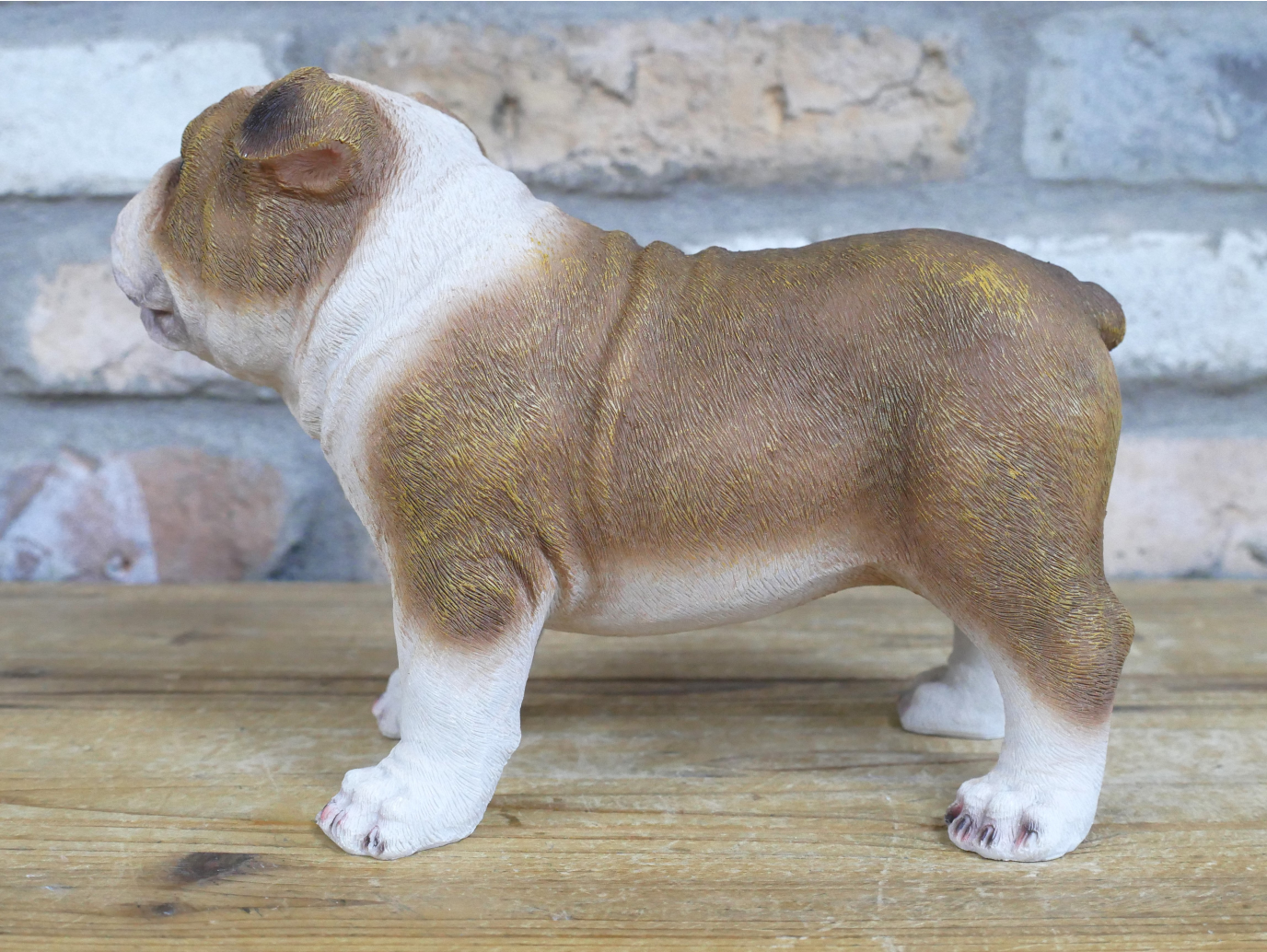 Bulldog