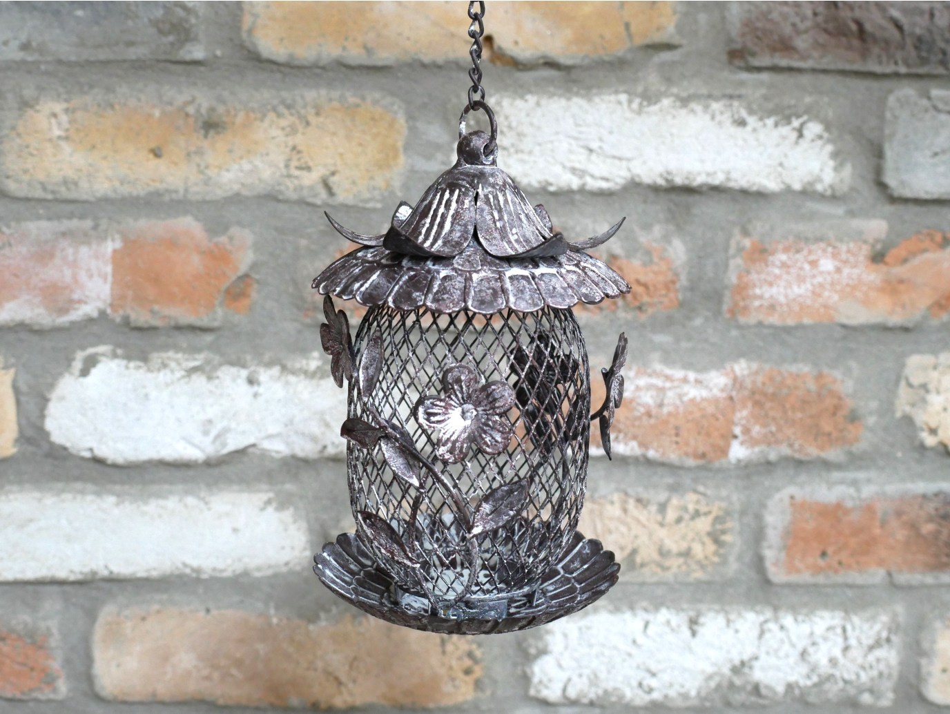Bird Feeder
