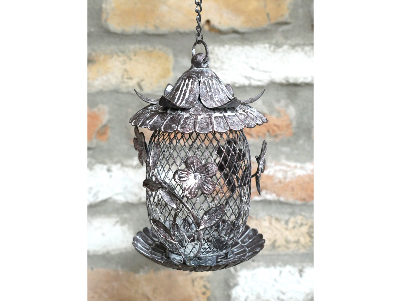 Bird Feeder
