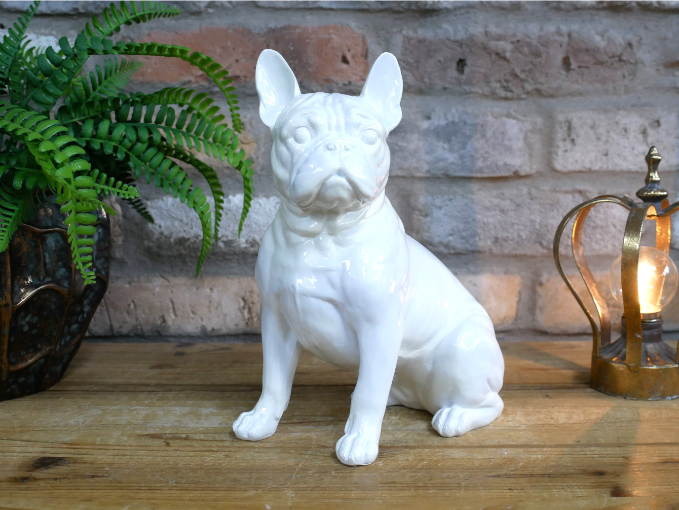 White Dog (Frenchie)