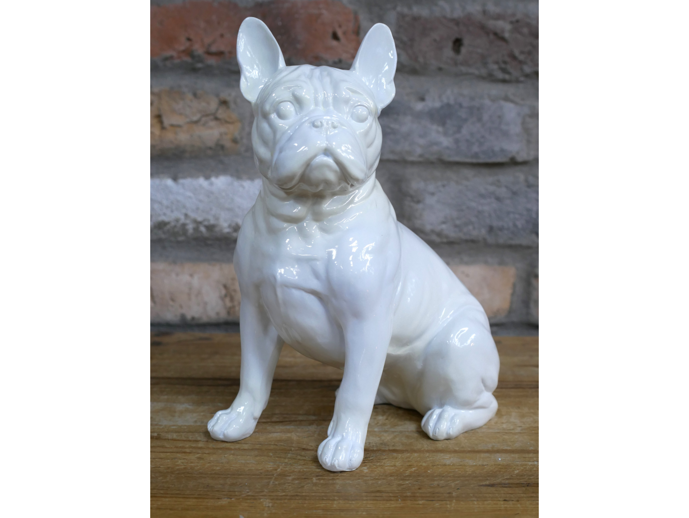 White Dog (Frenchie)