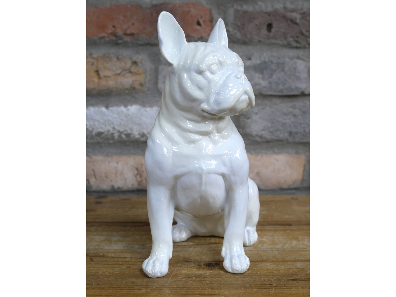 White Dog (Frenchie)