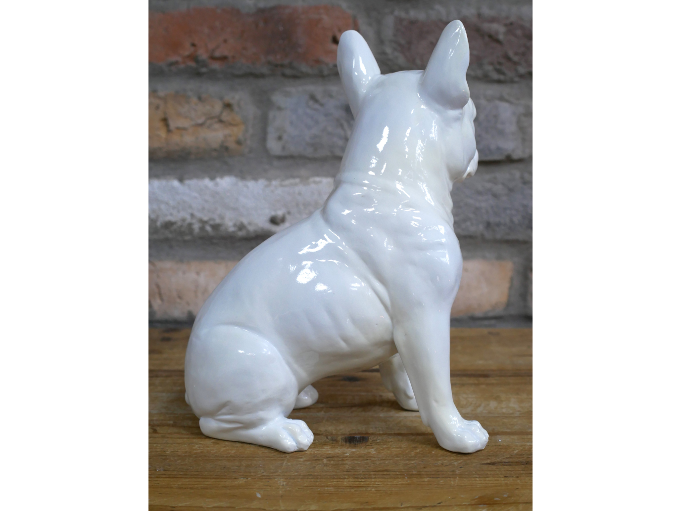 White Dog (Frenchie)