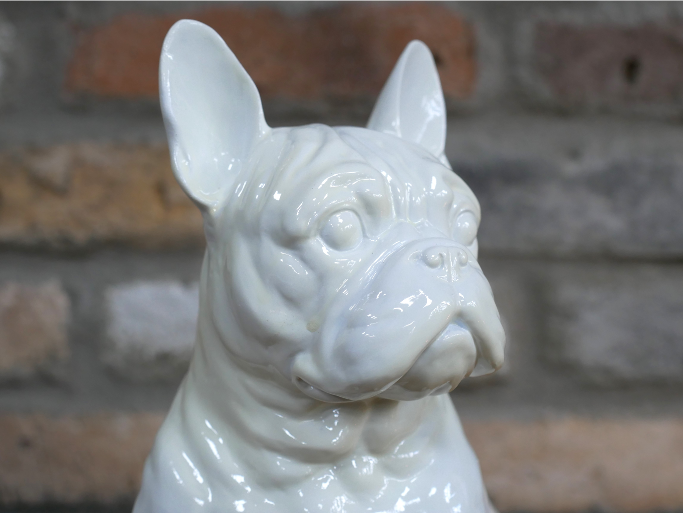 White Dog (Frenchie)