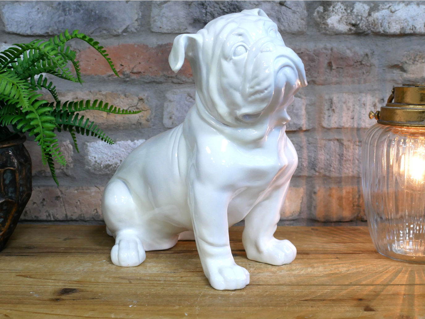 White Bulldog