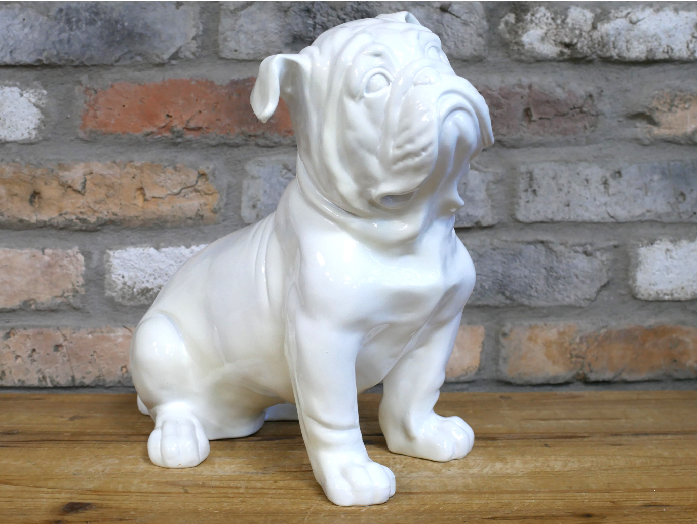 White Bulldog