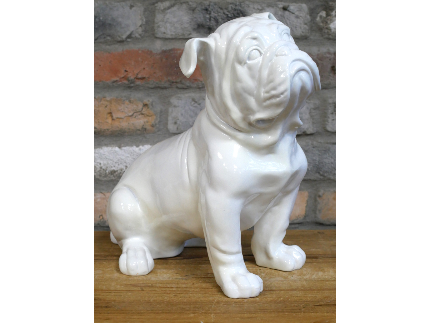 White Bulldog