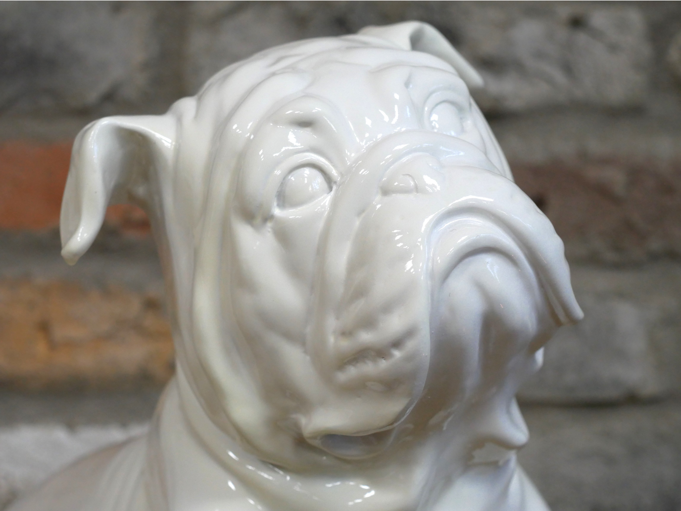 White Bulldog
