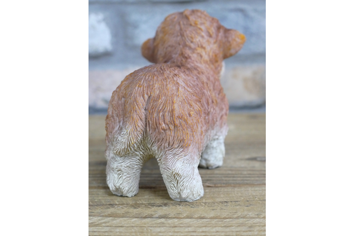Tiny Baby Cow