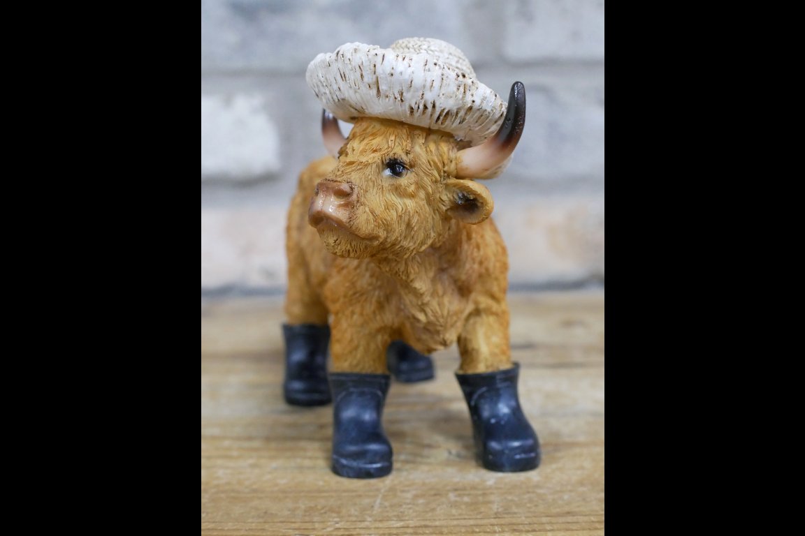 Highland Cow - Small