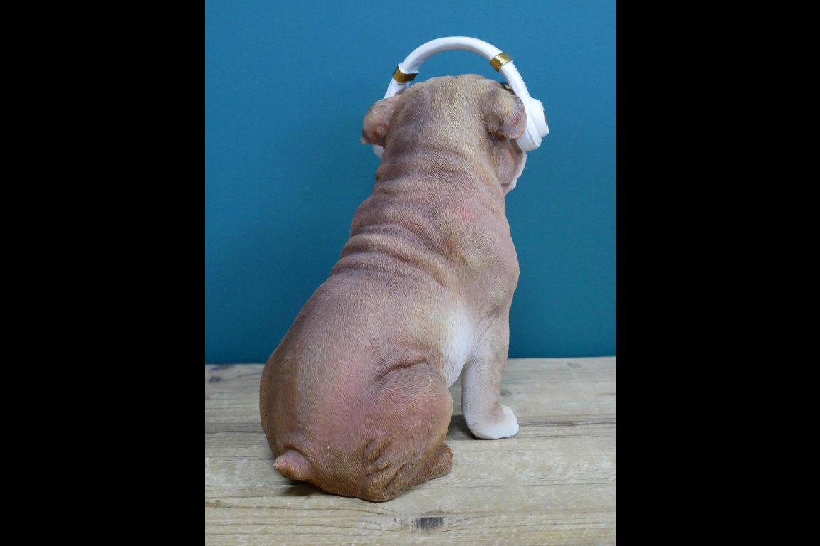 Dog With Headphones