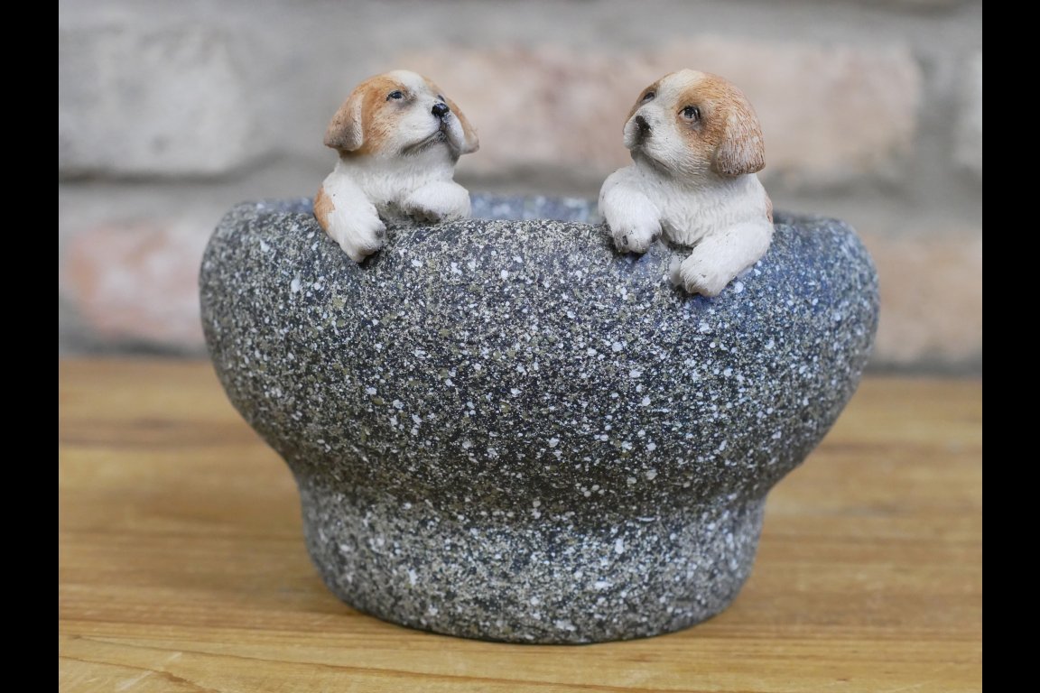 Small Dog Trough