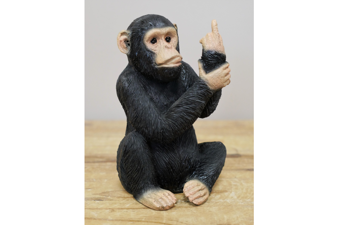 Up Yours Monkey - Small