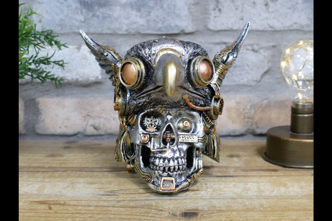 Bird On Skull