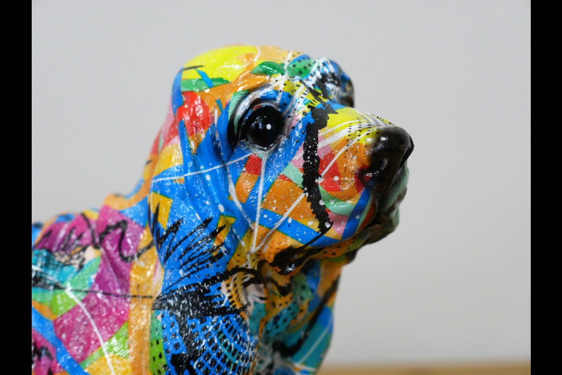 Multi Colour Dog