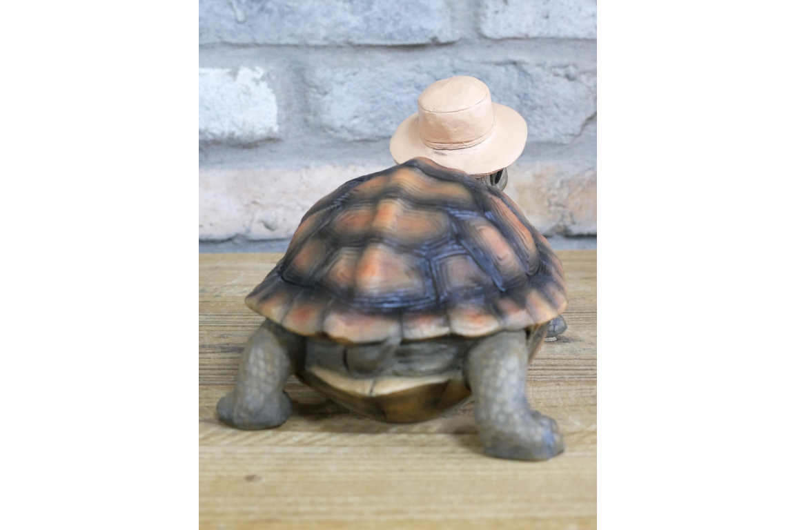 Holiday Tortoise