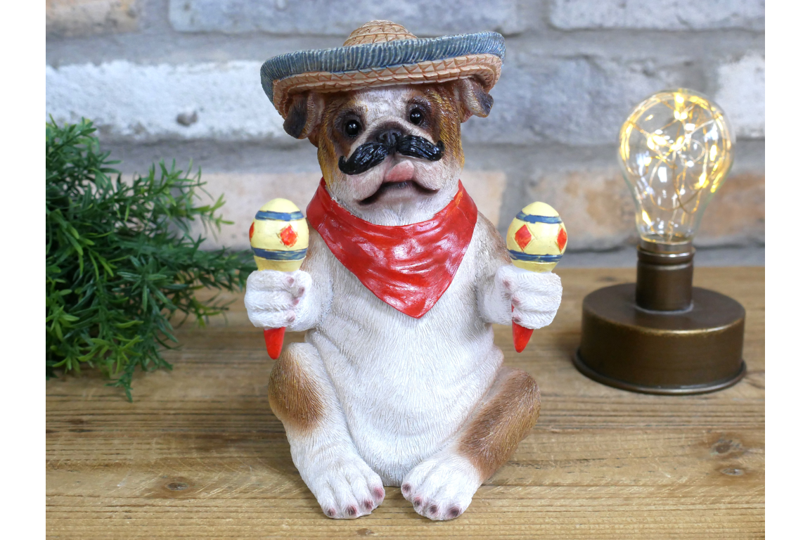 Mexican Bulldog