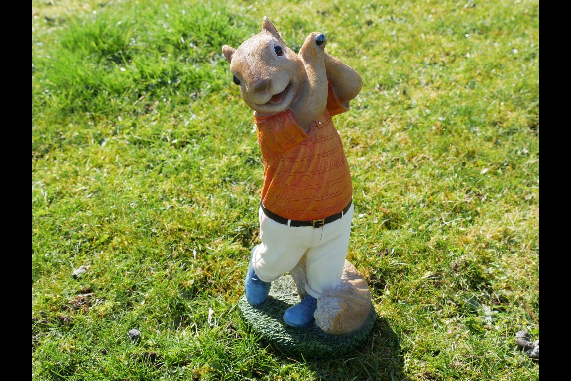Squirrel Golfer