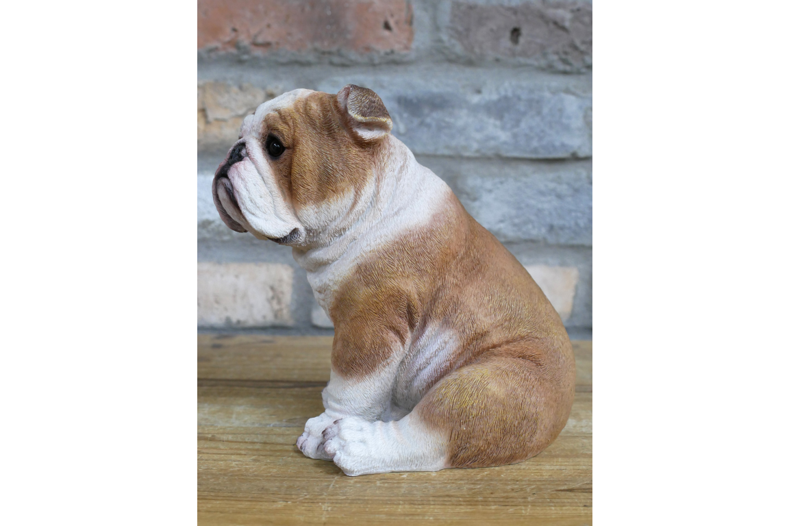 Bulldog