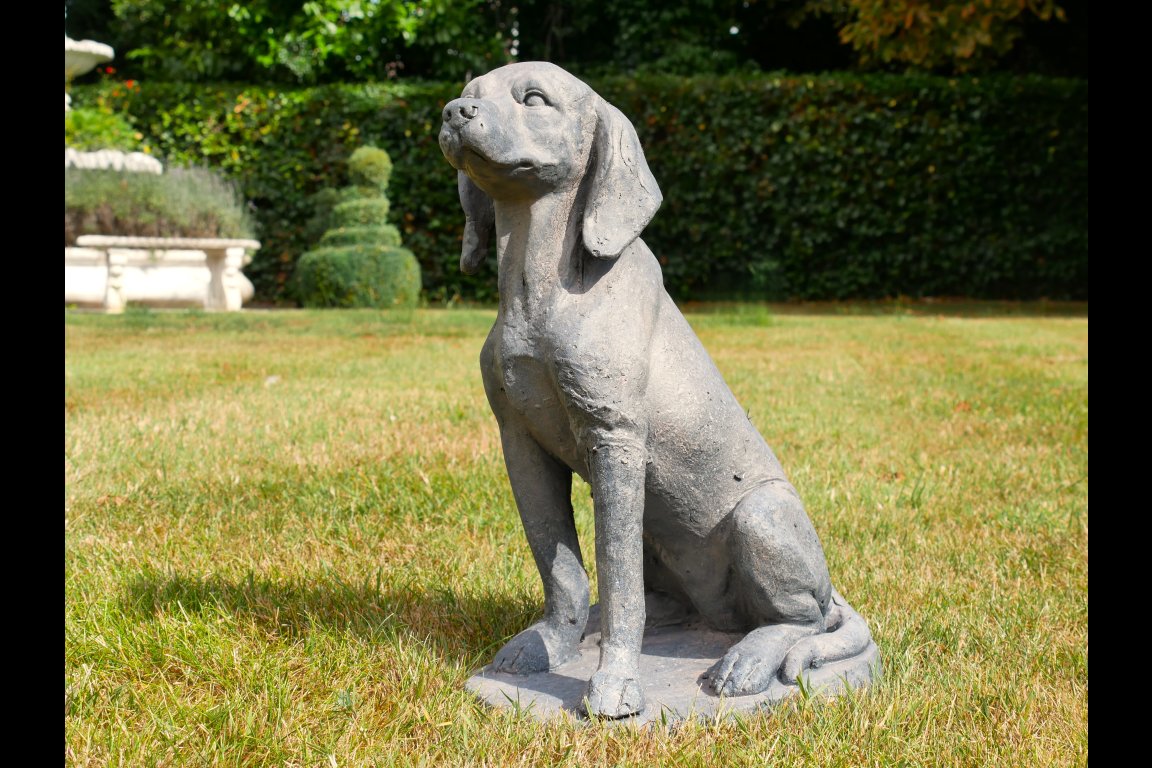 Sitting Dog