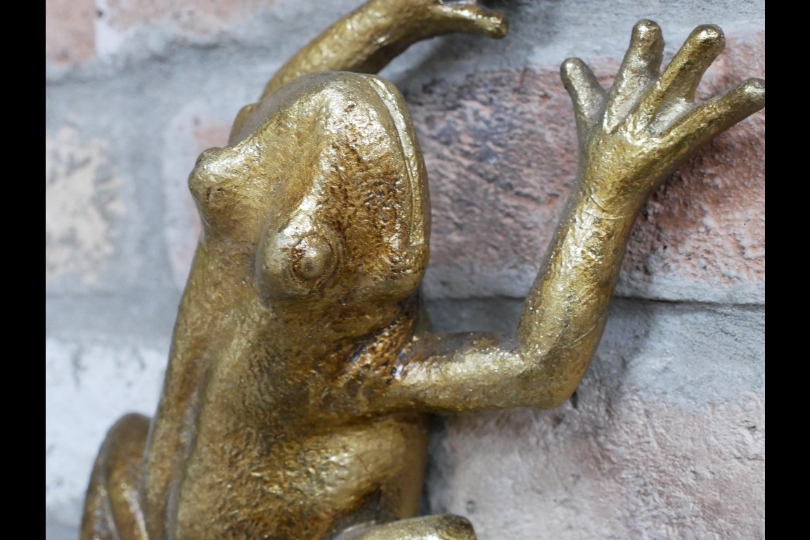 Frog Wall Decoration