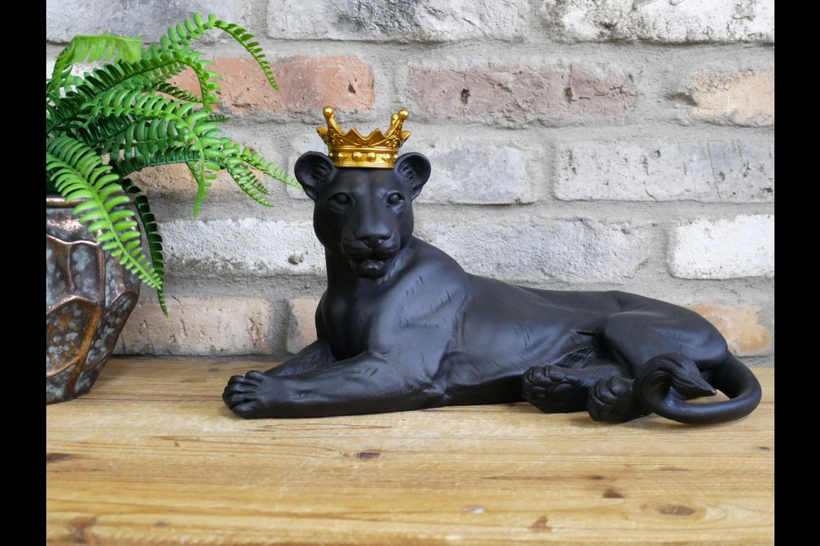 Laying Lion