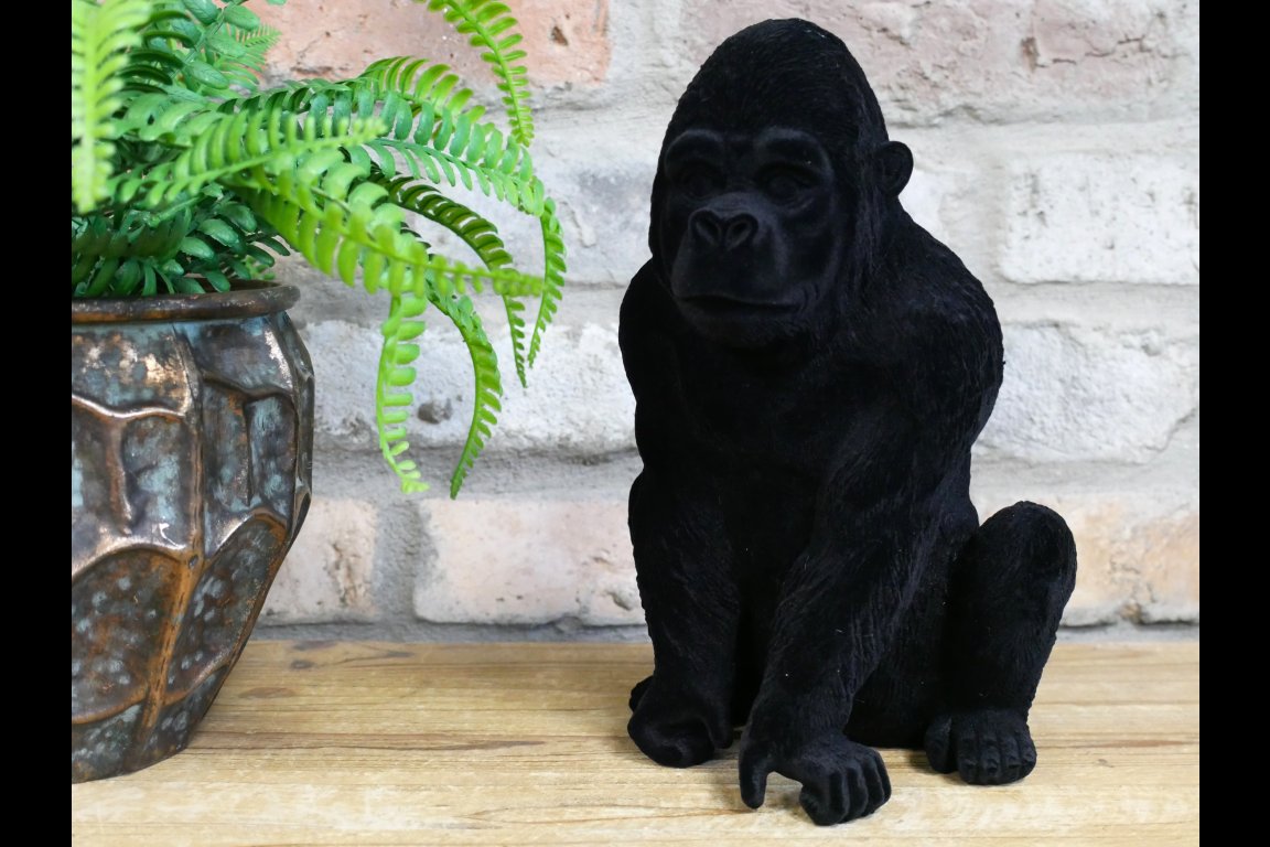 Gorilla
