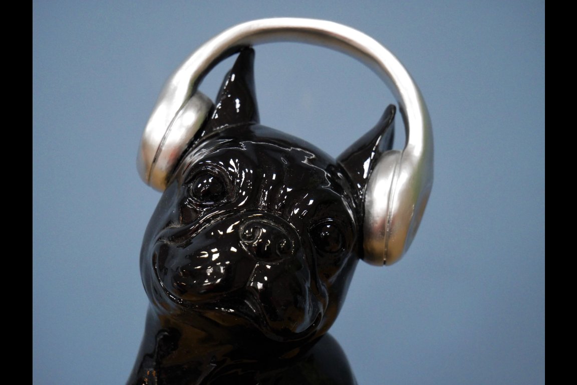 Dog With Headphones
