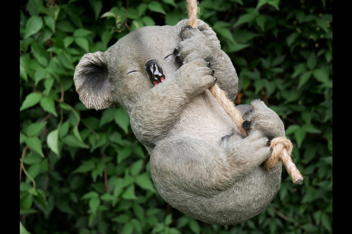 Hanging Koala