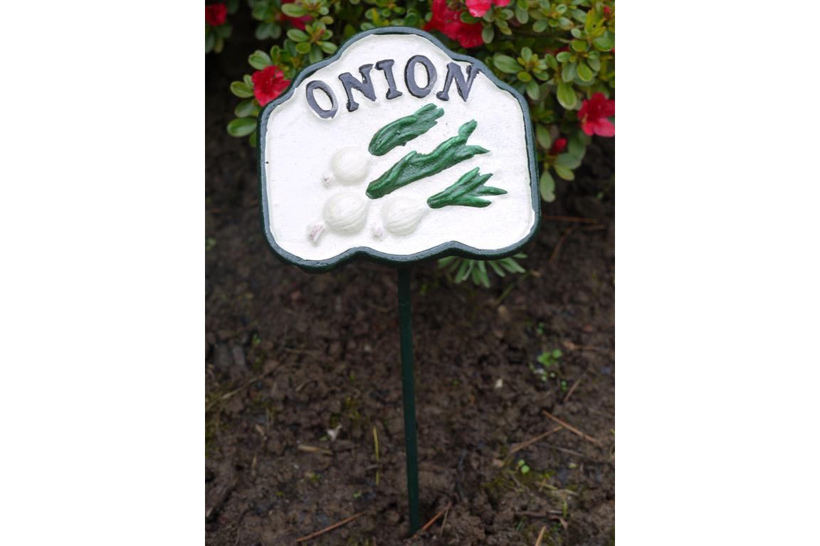 Onion Sign