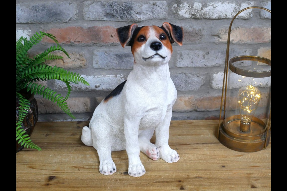 Jack Russell