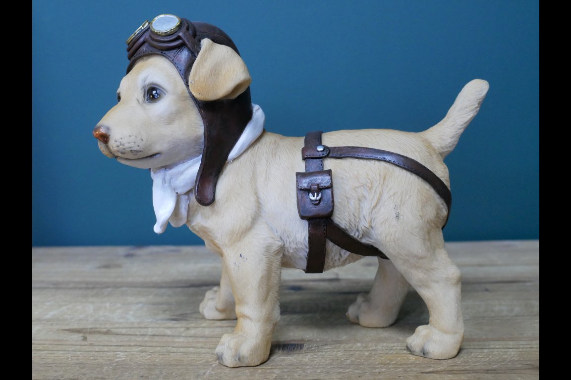 Pilot Dog