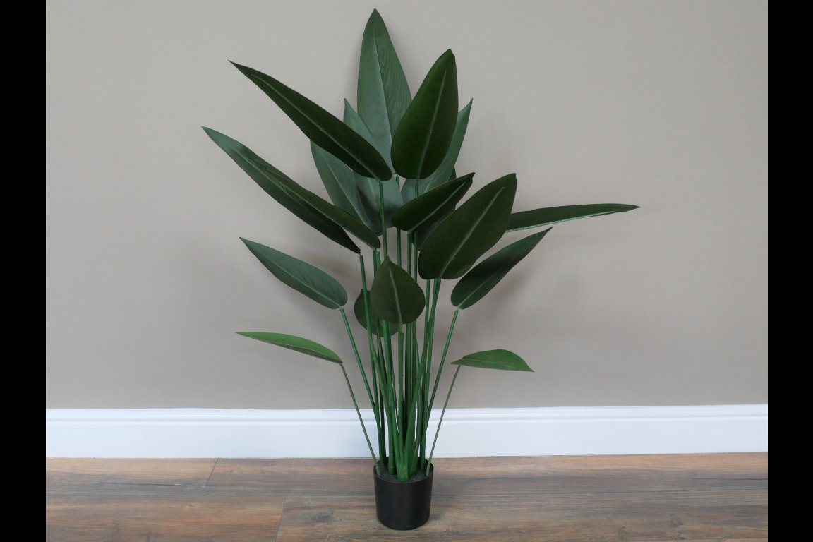 Artificial Canna