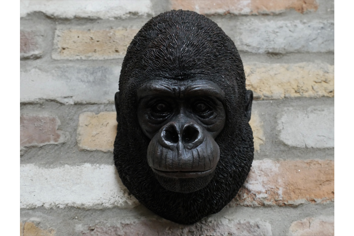 Gorilla Head