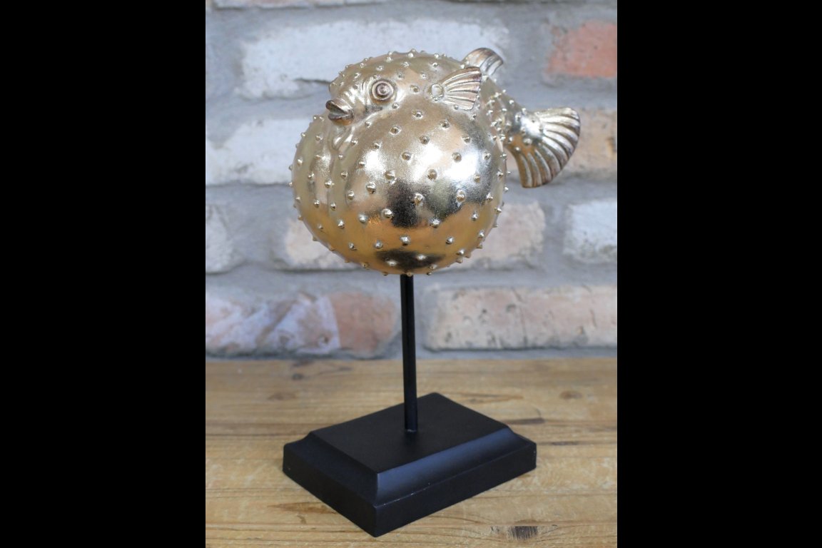 Puffer Fish