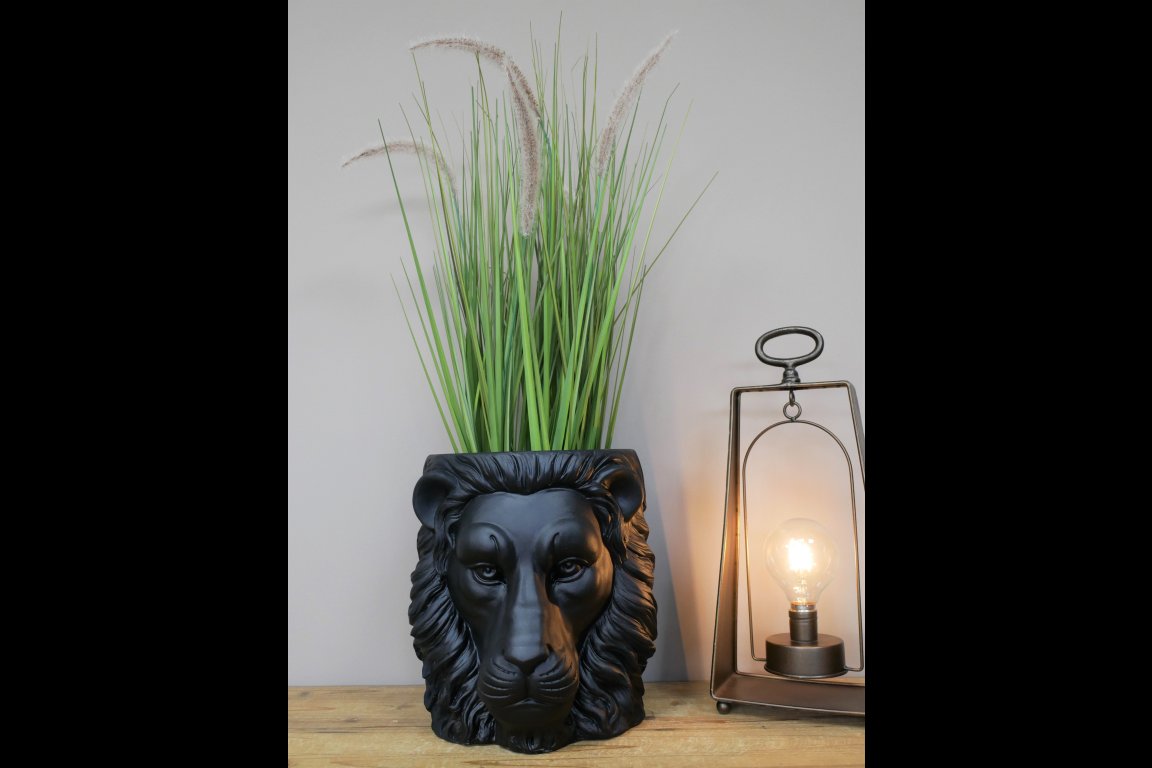 Lion Head Planter