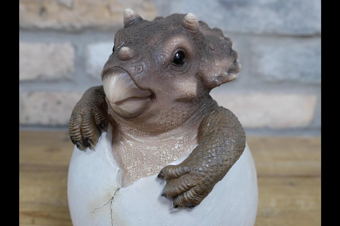 Dinosaur Egg