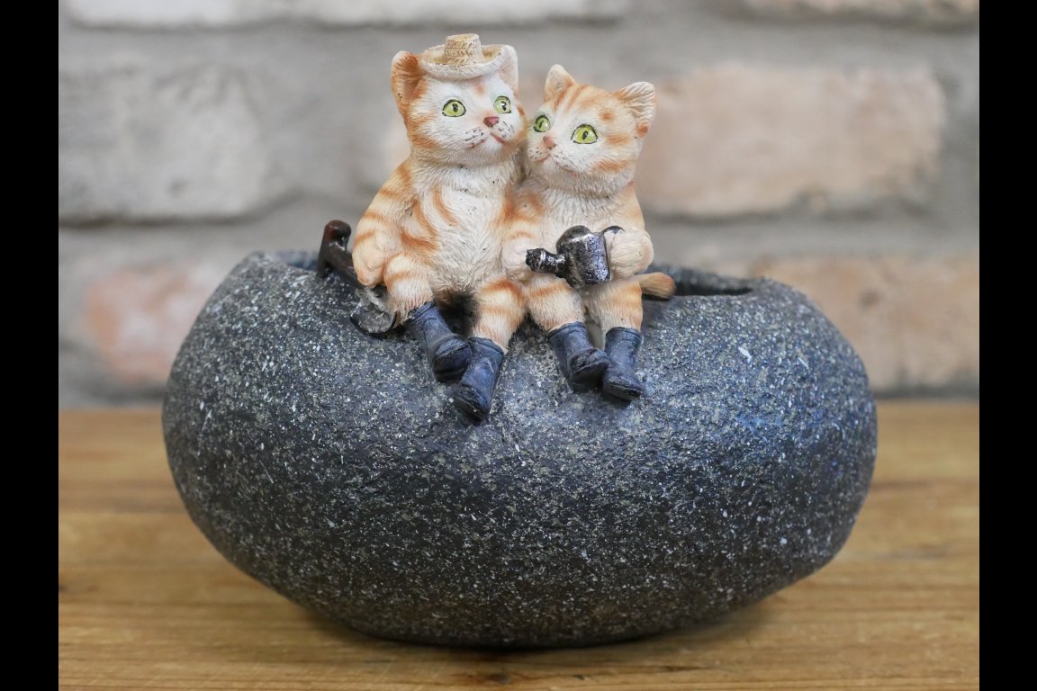 Small Cat Trough
