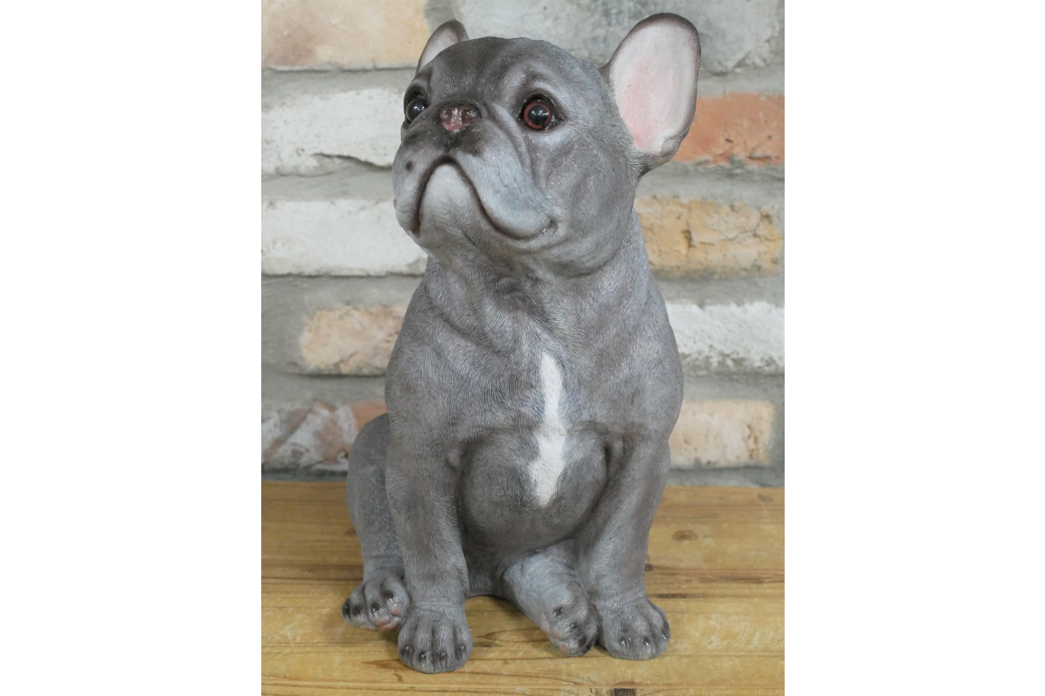 Sitting Dog (Frenchie)