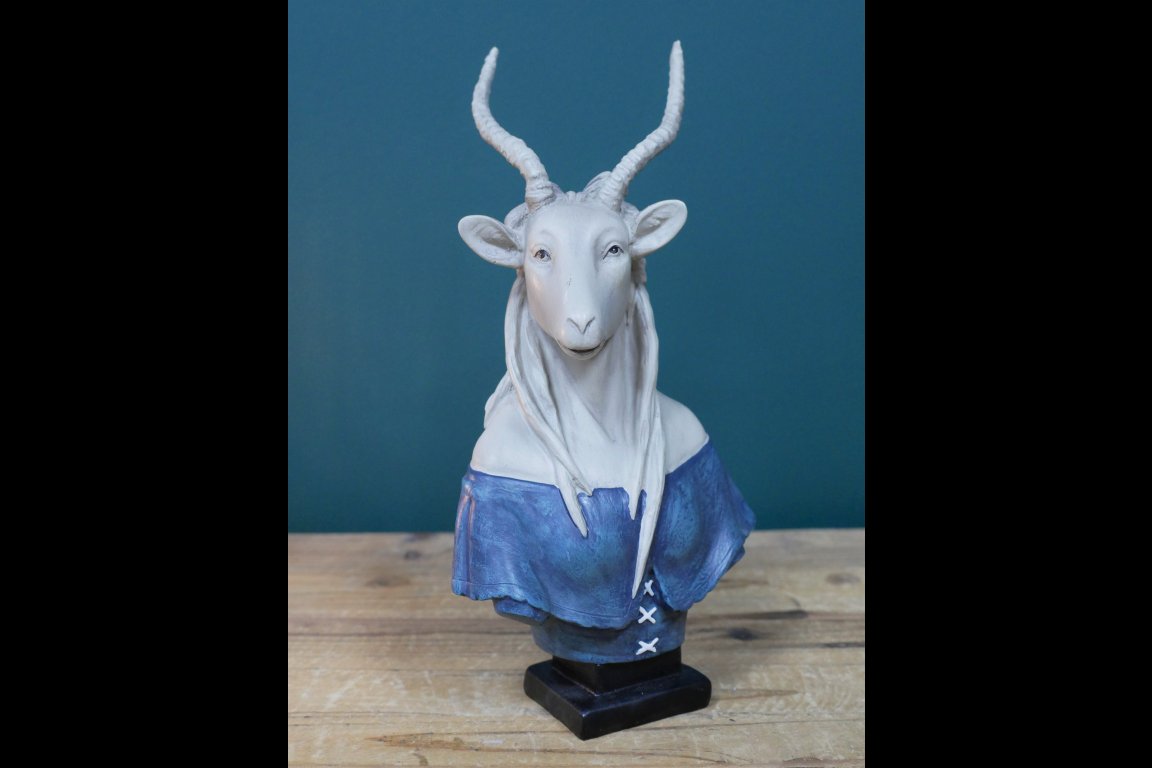 Antelope Bust
