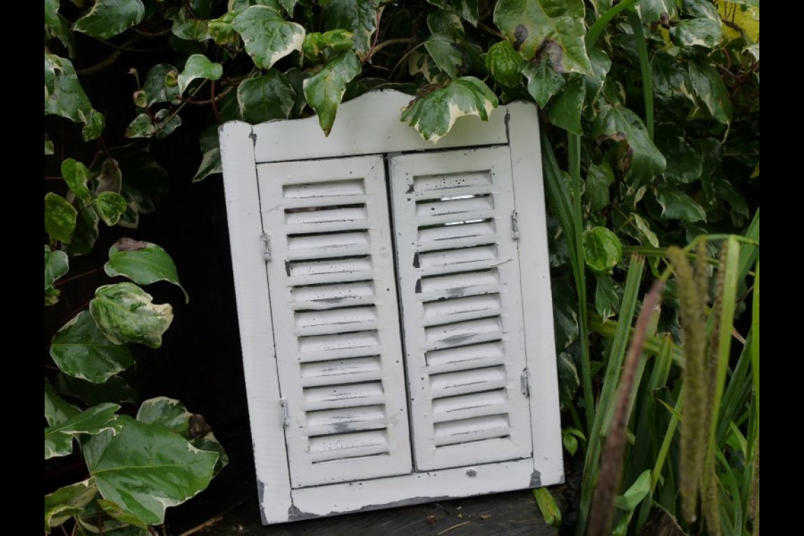 Shutter Mirror