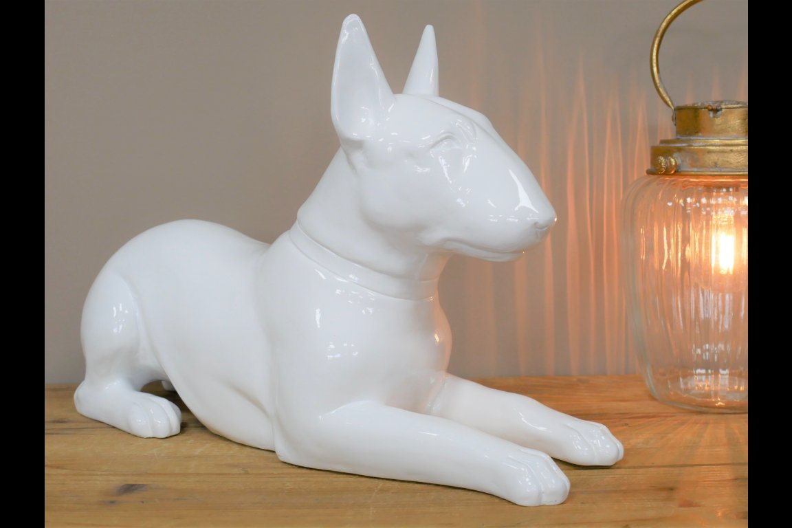 White Dog