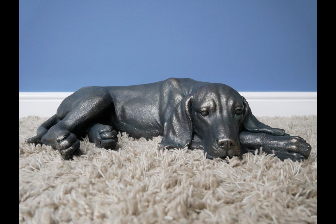 Laying Dog