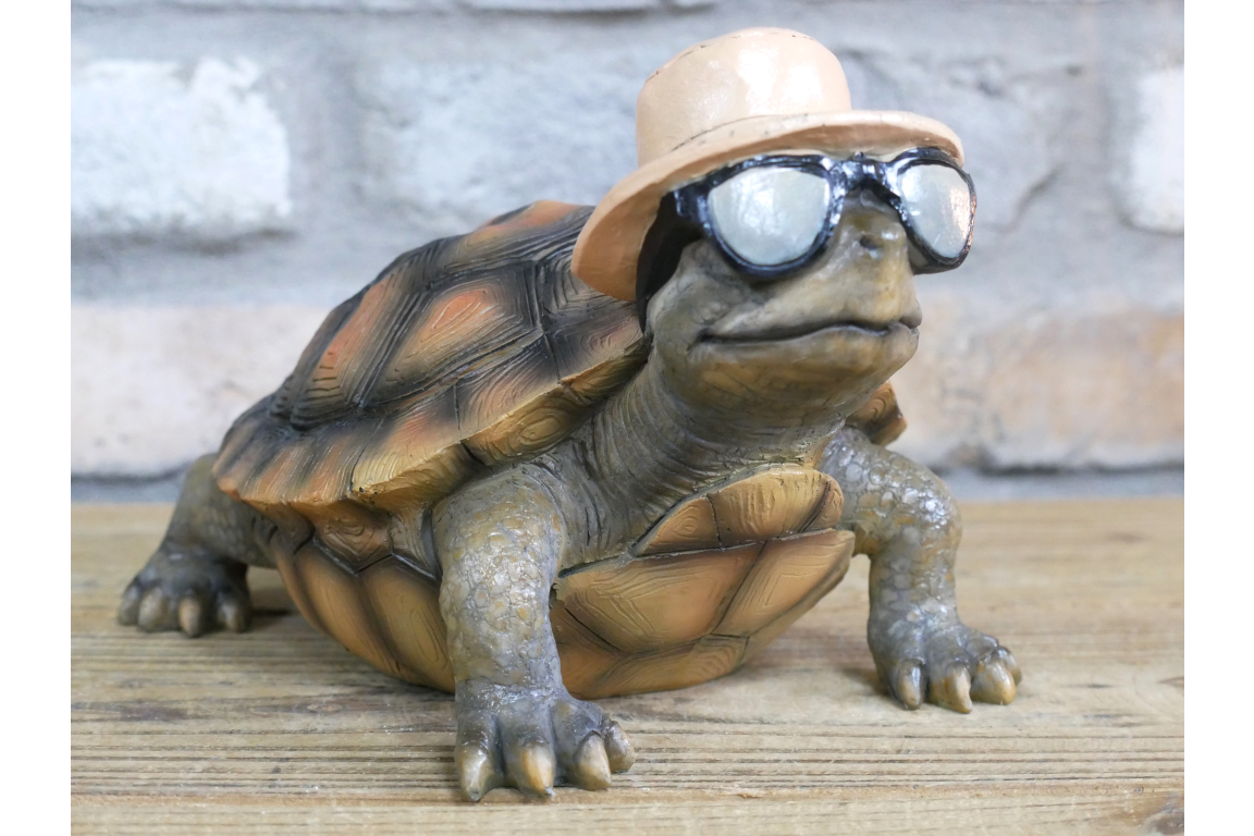Holiday Tortoise