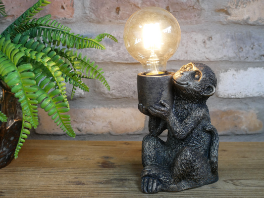 Monkey Light