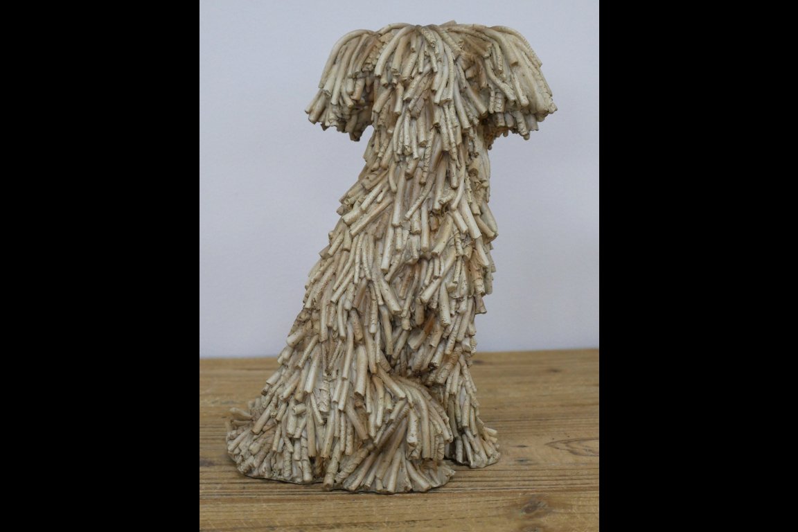 Sitting Shaggy Dog