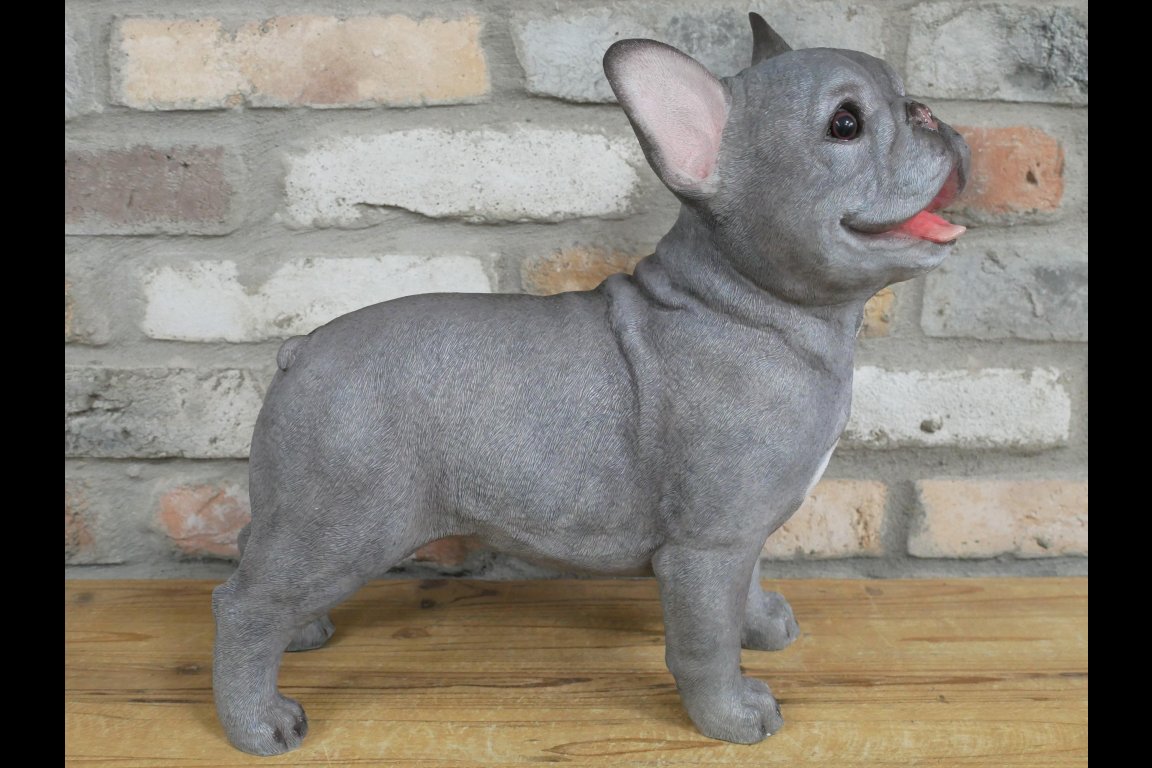 Standing Dog (Frenchie)