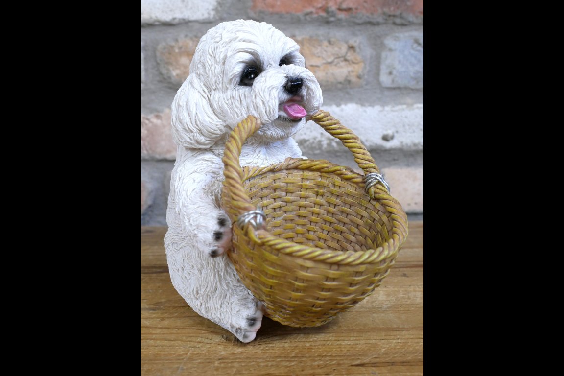 Dog With Basket
