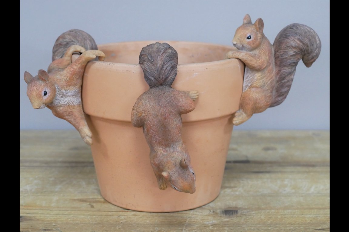 Set Of 3 Squirrel Pot Hangers